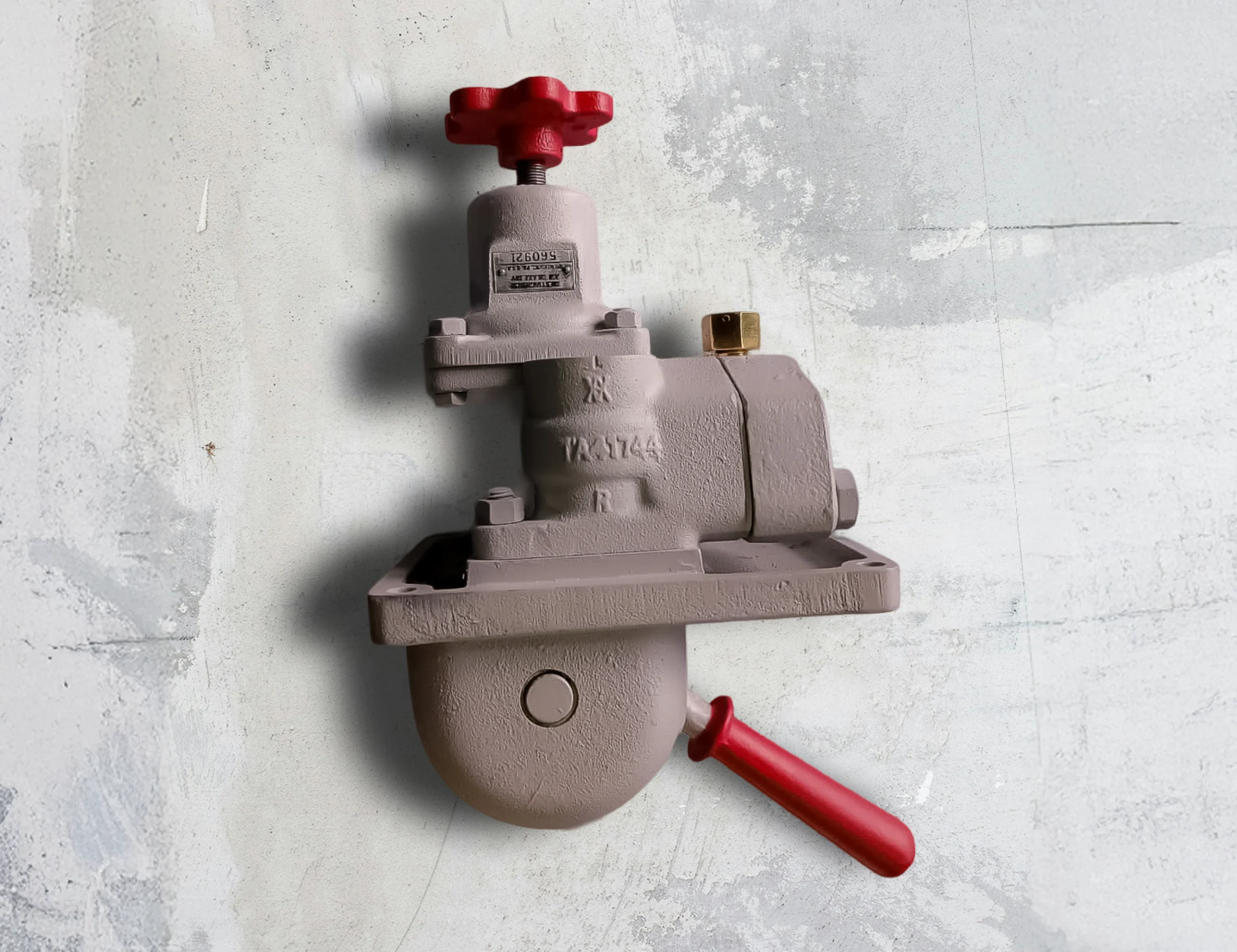 foto_petrag_5@2x